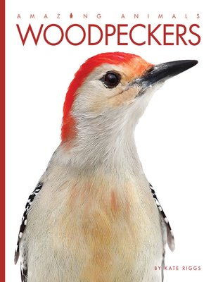 cover image of Woodpeckers